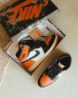 Air Jordan 1 Retro High OG Shattered Backboard 2025 DZ5485-008