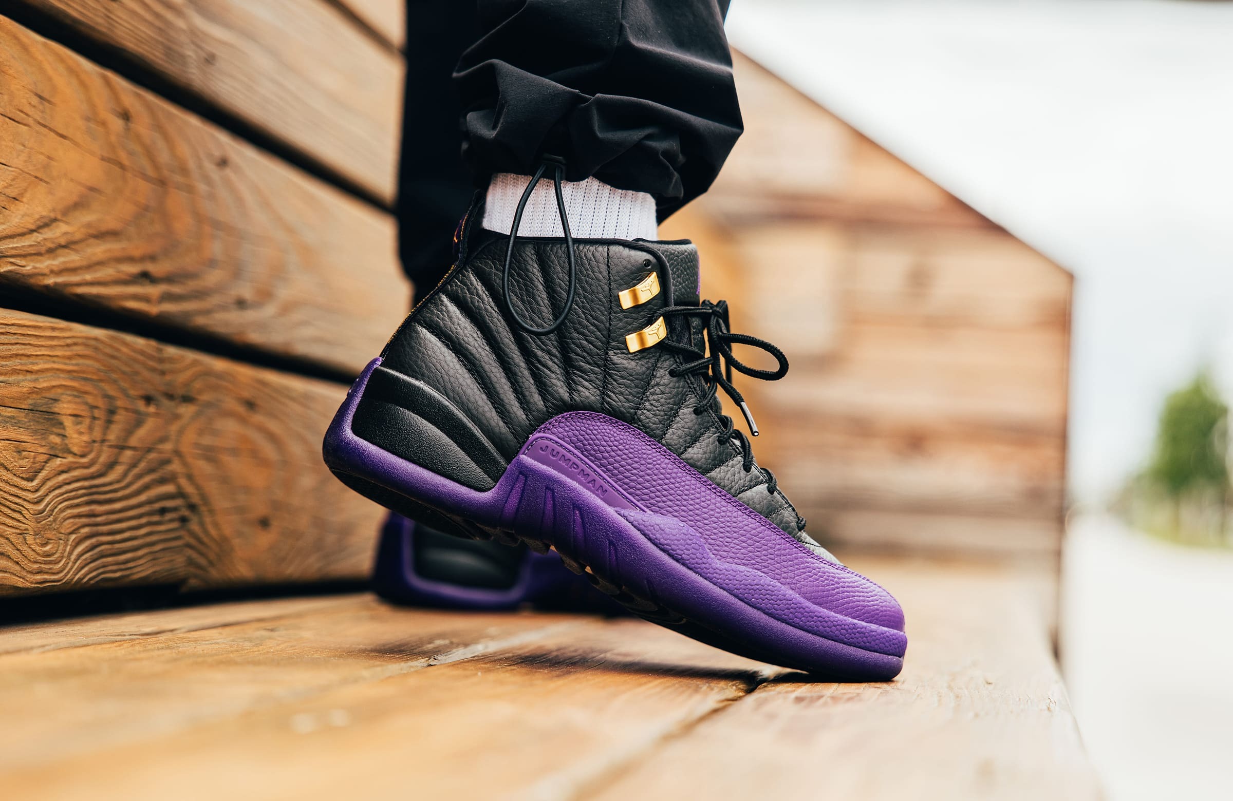 Jordan Air Jordan 12 Retro Field Purple Black High Top Men’s 2023 CT8013-057 Jordan 12 Retro Field Purple Men main image 3