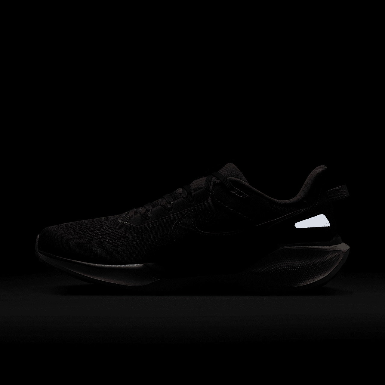 Nike Air Zoom Pegasus 41 SP Black Tea Dark Obsidian HQ6025-200