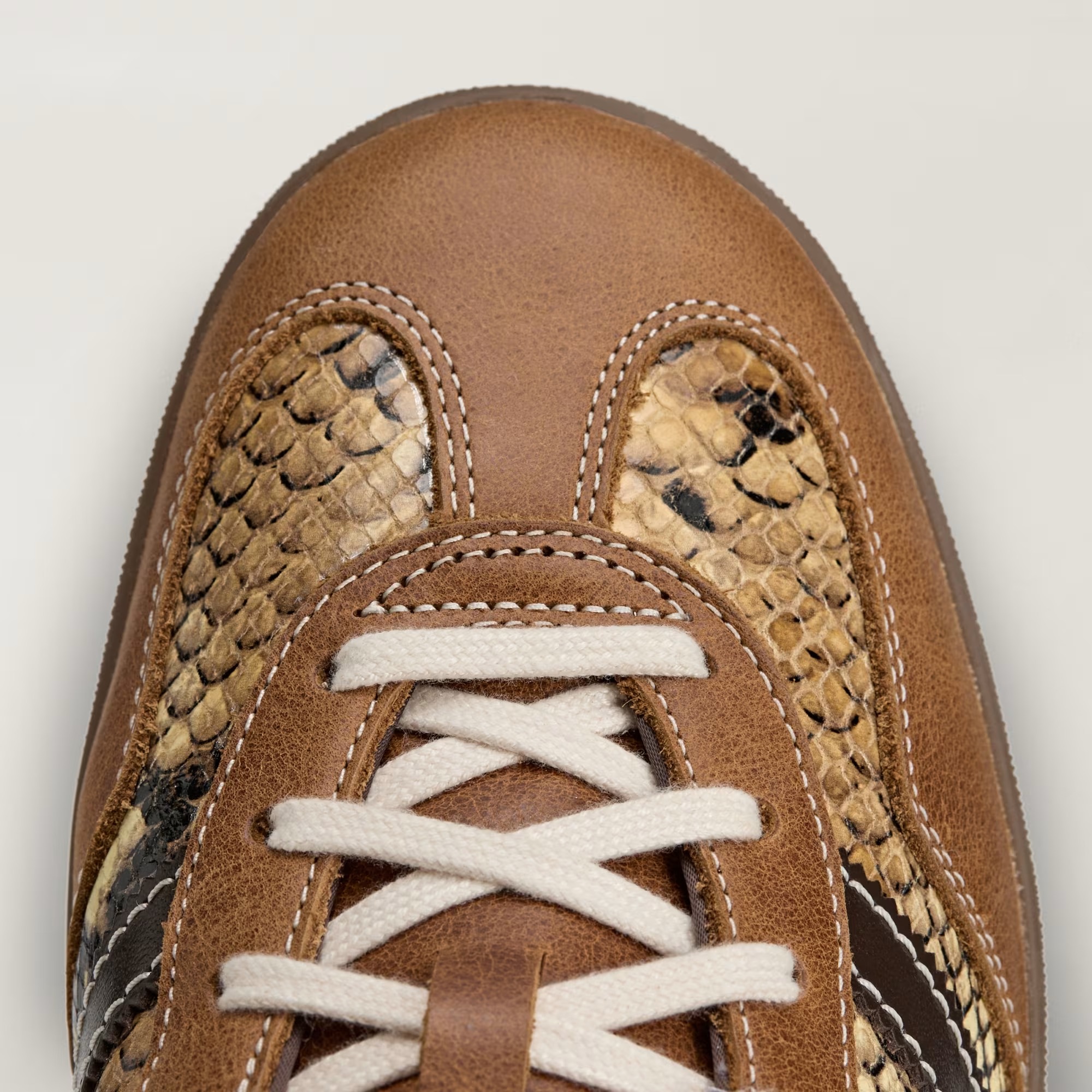 Wales Bonner x adidas Gazelle Indoor Snakeskin KK3641 | More Sneakers