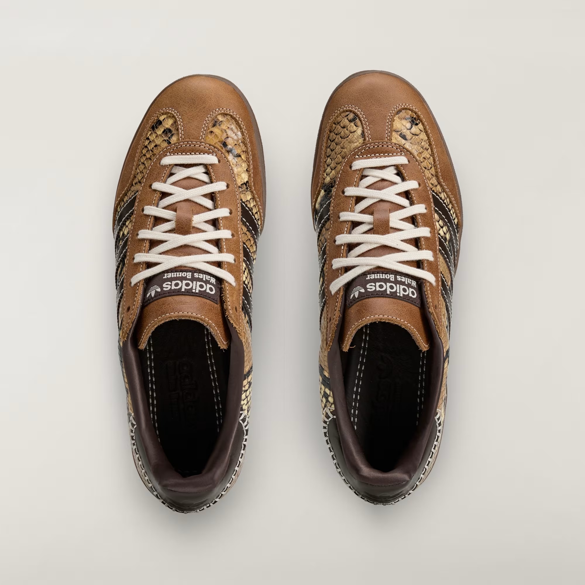 Wales Bonner ×  Wales Bonner x adidas Gazelle Indoor Snakeskin KK3641 | More Sneakers